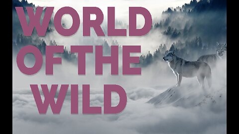 World of the Wild