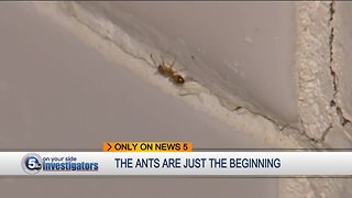 Richmond Heights tenants report ant attack and service issues at apartment complex