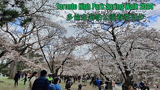 Toront High Park Spring Walk 2024