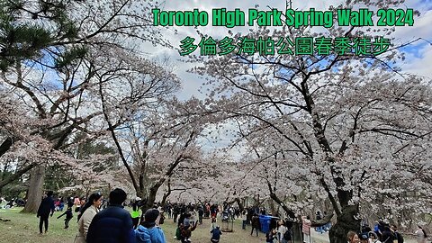 Toront High Park Spring Walk 2024