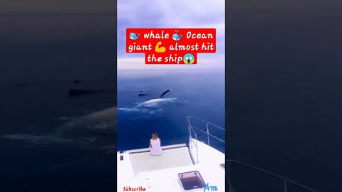 🐋 Blue whale ocean giant|almost hit the ship 😱😱|AnimalMania|animal lovers #shorts #viral #ytshorts