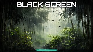Thunderstorm In Bamboo Forest: Rainforest Sounds, Wind Sound, Birds Chirping | Black Screen 4K