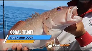 Catch and Cook - Coral Trout