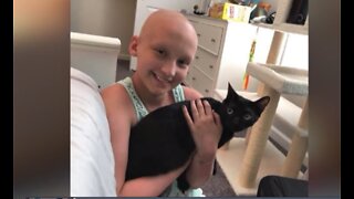 Cancer patient finds comfort in cats