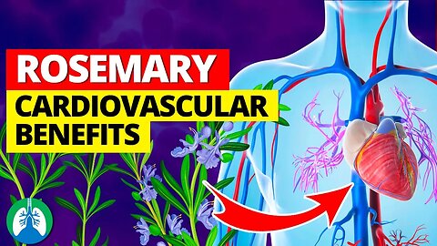 Rosemary Herb is Good for Your Cardiovascular System ❓