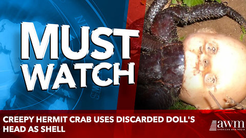Creepy hermit crab uses discarded doll's head as shell