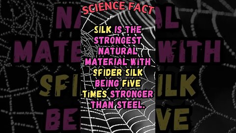 🕸️🔬Amazing Science Facts! 👀 #shorts #shortsfact #science #sciencefacts #scientificfact #spider #web