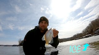 Crappie Fishing a Cold Front (Lake of the Ozarks Day 5)