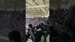 Golaço do Paulinho visto da torcida do Vasco na arquibancada do Allianz (Gol Mal Anulado pelo VAR)