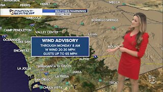 ABC 10News Pinpoint Weather with Jennifer Delacruz