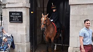 Horse gets startled #horseguardsparade