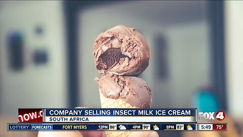Company selling "insect milk" ice cream