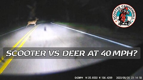 Scooter Cannonball Run 2023 // Scooter vs Deer in Los Alamos, NM