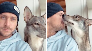 Pup has adorable reaction to "bark at your dog" challenge