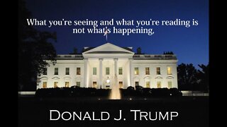 Donald Trump Quotes - What you're seeing and what you're reading is...