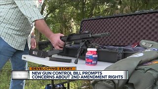 New senate bill aims at public safety and gun purchases