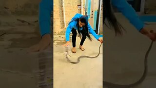 snake 🐍 #shots #viralvideo video#