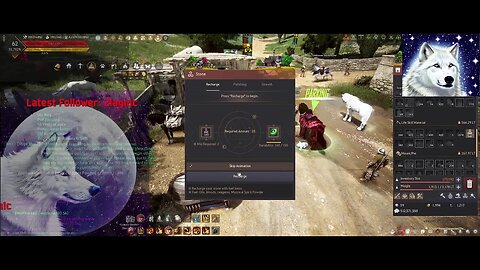 Black Desert Online Guardian Gameplay