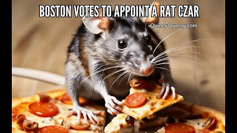 Boston Votes To Appoint A Rat Czar