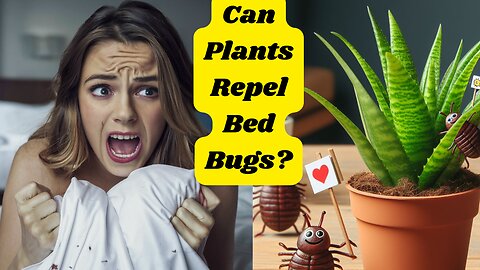 Plants That Repel Bed Bugs