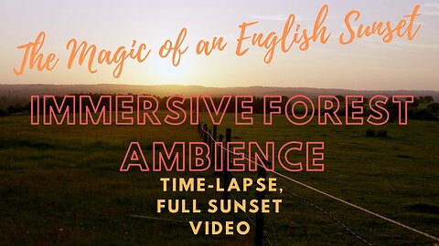 🌞🌄The Magic of an English Sunset: Immersive Forest Ambience - Time-Lapse, Full Sunset Video.