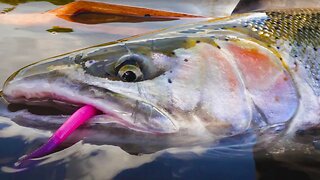 Caught His FIRST & Then His BIGGEST STEELHEAD In 2 Days Of FISHING!