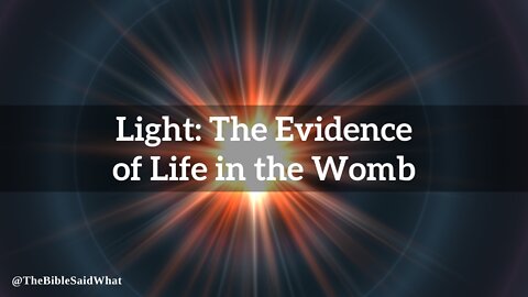 E6: Light: The Evidence of Life in the Womb