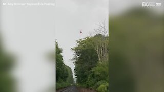 Helicopter prunes trees with giant chainsaw