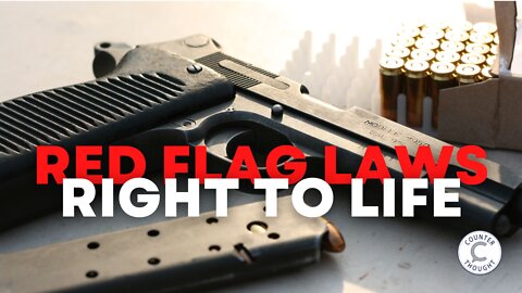 Arguments in Support of Red Flag Laws - Gun Control