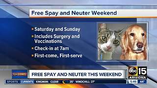 Free spay and neuter events in Phoenix this weekend