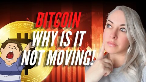 Why is Bitcoin Not Moving? | Something BIG Coming