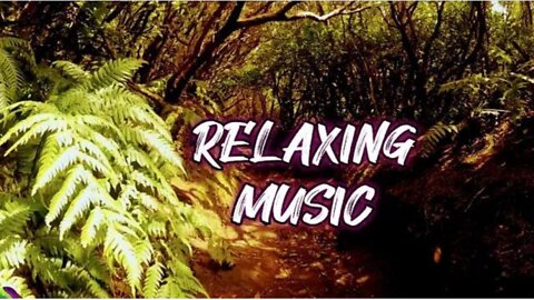 Relaxing Sleep Music, Healing Music, Sleep Meditation, Calm Music, Yoga, Study Music, Sleep, ☯