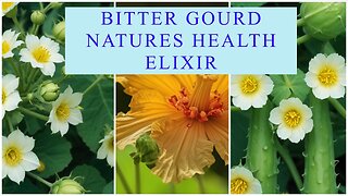 Are There Any Side Effects of Consuming Bitter Gourd