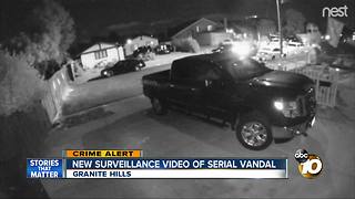 New surveillance video of serial vandal