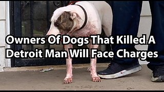 Owners Of Dogs That Killed A Detroit Man Will Face Charges