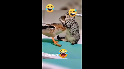 Cat and Duck fight funny video #trendingnow #shorts #viral #reels