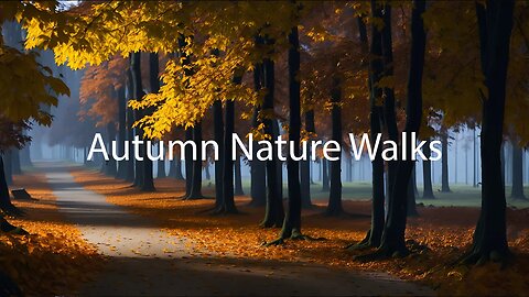 Unlock Serenity: Ambient Music for Relaxing Autumn Nature Walks