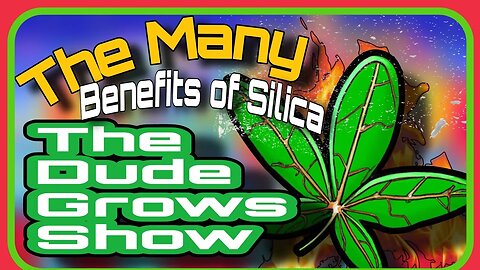 Cultivating Strength: How Silica Enhances Your Cannabis Plants - The Dude Grows Show 1498