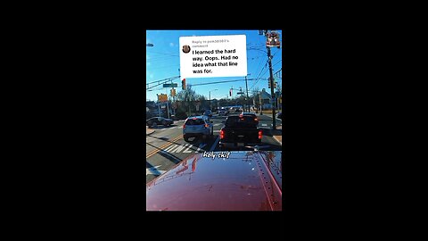 You're NOT ALONE! 👀🤔🤦‍♂️🤷‍♂️👏😂🤣 #dashcam #truckdriver #commentary #animals #NJ #LBI