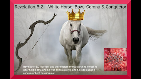 white horse with bow and crown