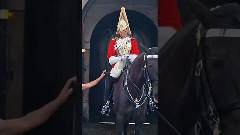 Don't touch the guard #horseguardsparade