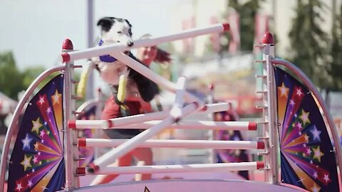 SuperDogs Jumping Into Whoop Up Days | August 24, 2023 | Micah Quinn | Bridge City News