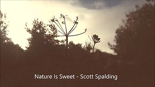 Nature is Sweet - Scott Spalding