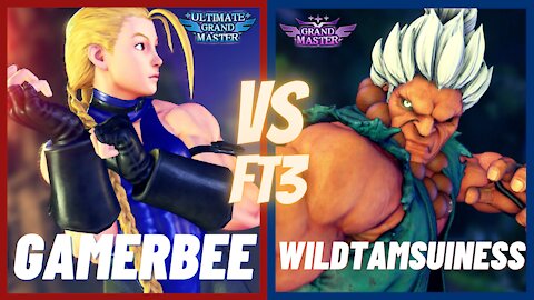 SFV 🌟 Gamerbee (Cammy) vs WildTamsuiness (Akuma) FT3 🌟 SF5
