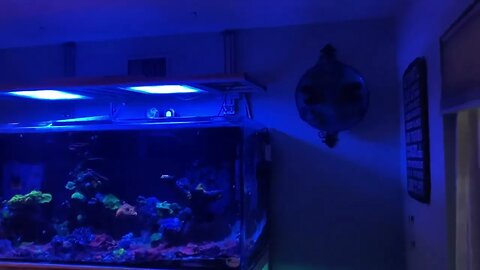 Water change system X2SR