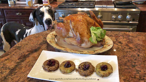 Great Dane Samples Chestnut Sausage Stuffing Donut Rings