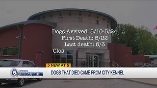 Dogs that died at Cuyahoga County Animal Shelter came from Cleveland City Kennel