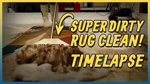 5 Minute Satisfying Time Lapse Carpet Clean