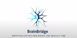 BrainBridge