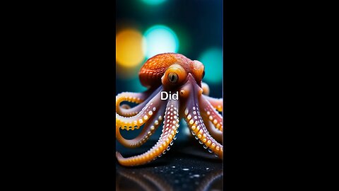 Did you know that an octopus has three hearts and nine brains?